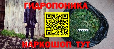 эйфоретик Новозыбков