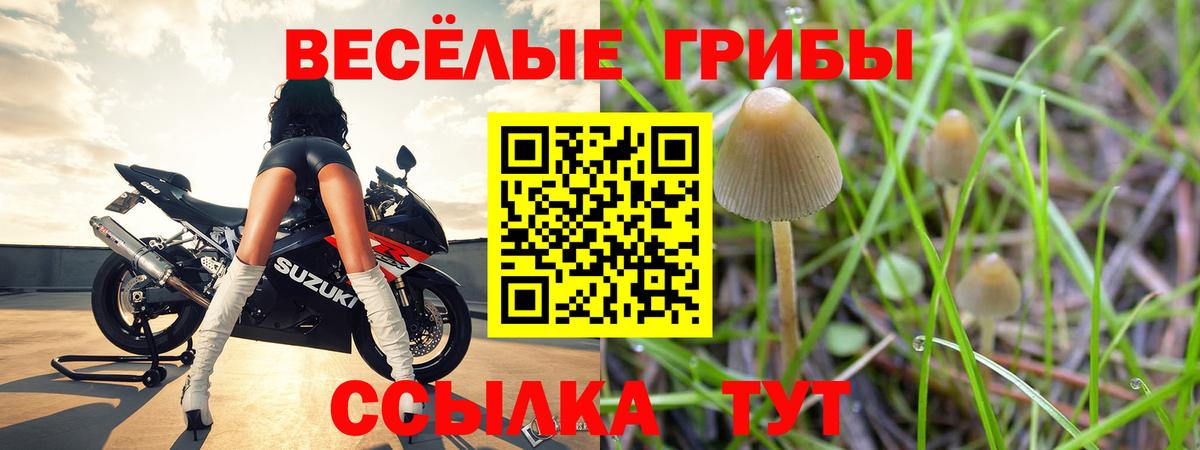 Галлюциногенные грибы мицелий  Вход с VPN  Тихорецк 